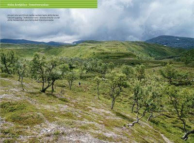 Dagsturer i Jämtland