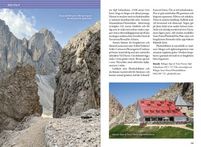 Vandra i Alperna: Dolomiterna