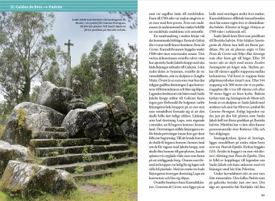 Pilgrimsvandra Camino Portugués