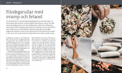 Svampbok för matälskare