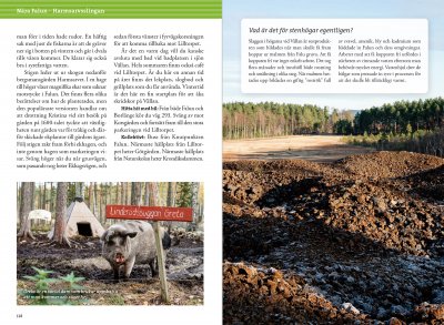 Vandring kring Falun & Borlänge