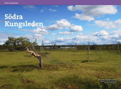 Vandra i Sälen och Fulufjällets nationalpark