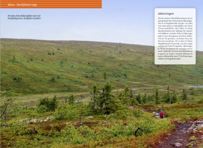 Vandra i Sälen och Fulufjällets nationalpark