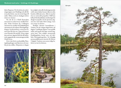 Weekendvandra kring Stockholm